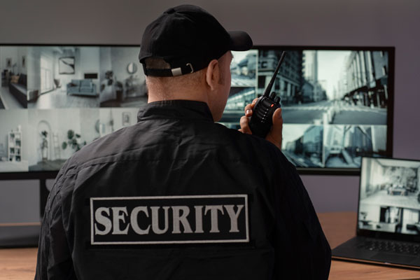 Virtual Security Guard